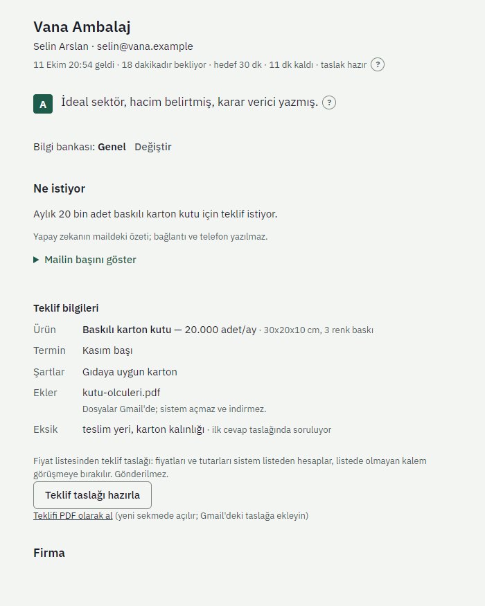 Epnex Mail Assistant enquiry detail: A score and reason, summary of the request and quote details (demo data, Turkish interface)